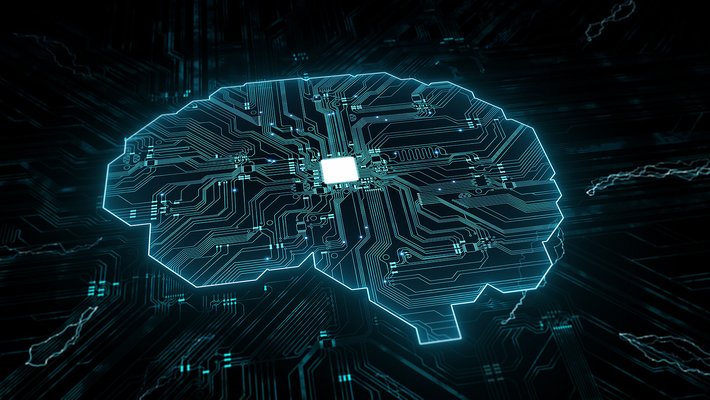 Brain made of computer chip and wires
